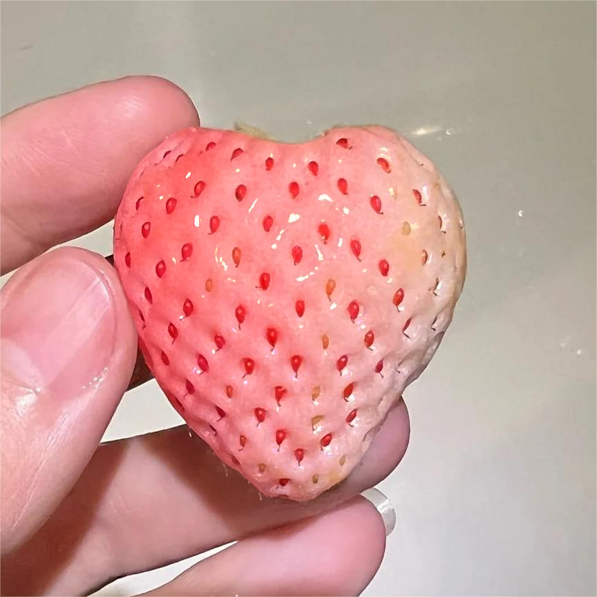 PEACH LAVENDER STRAWBERRY SEEDS (PEACH FLAVOR)-Plantjoyfarm-