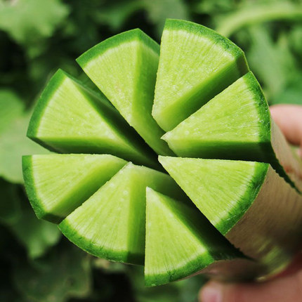 ShaWo Fruit Radish Seeds-Plantjoyfarm-Vegetable Seeds,best selling