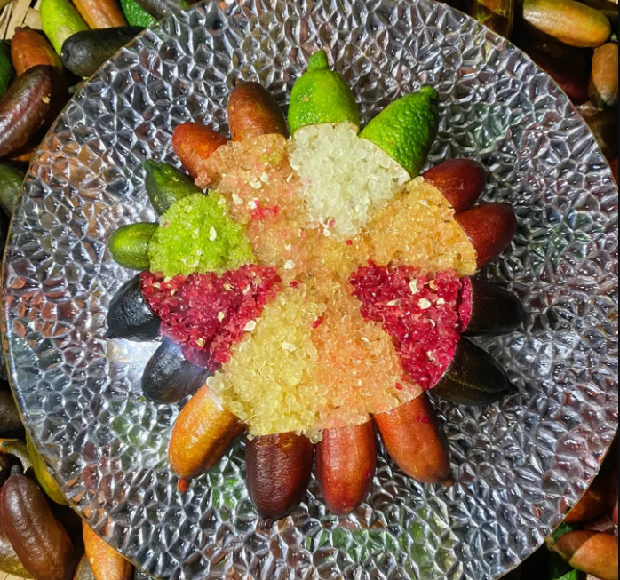 Finger Lime Seeds Lemon Caviar Seeds-Plantjoyfarm-Fruit Seeds