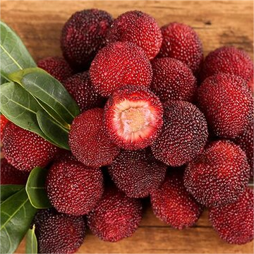 Himalayan Bayberry (Kaphal) Seeds-Plantjoyfarm-