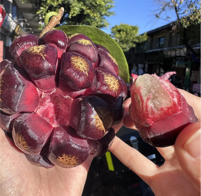 Black Tiger Seeds | Devil Fruit-Plantjoyfarm-Fruit Seeds,best selling