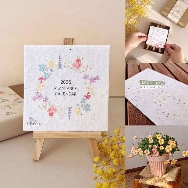 🌱2025 Eco-Friendly Plantable Seed Calendar