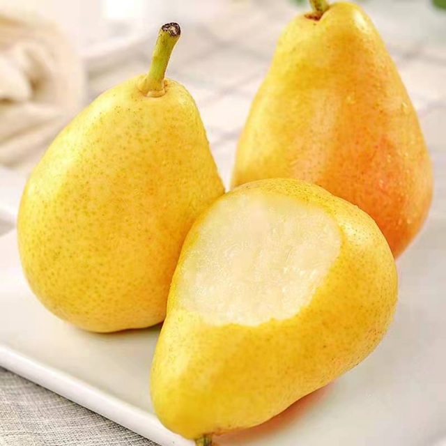 Pyrus communis Seeds - granny's pears-Plantjoyfarm-
