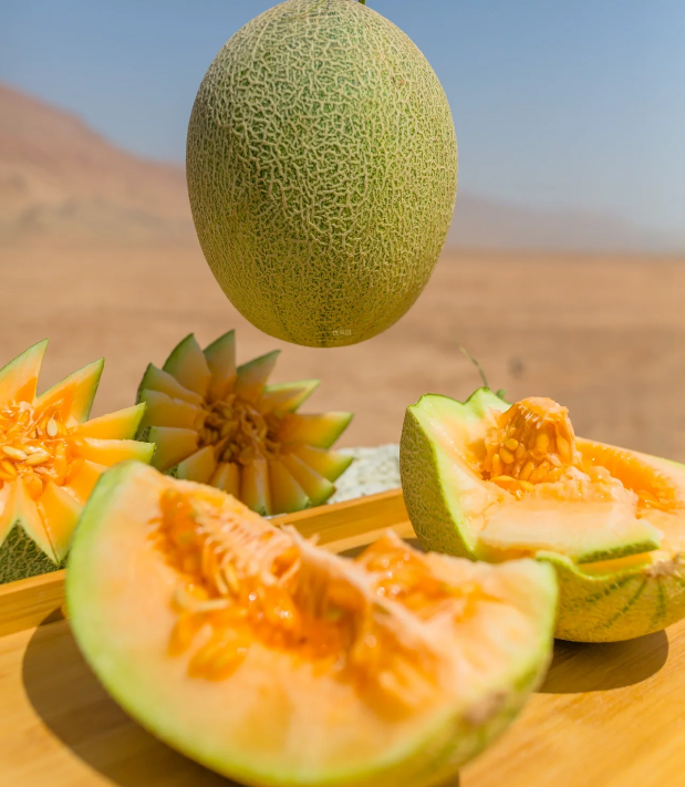 Reticulated Cantaloupe Seeds-Plantjoyfarm-Fruit Seeds,best selling