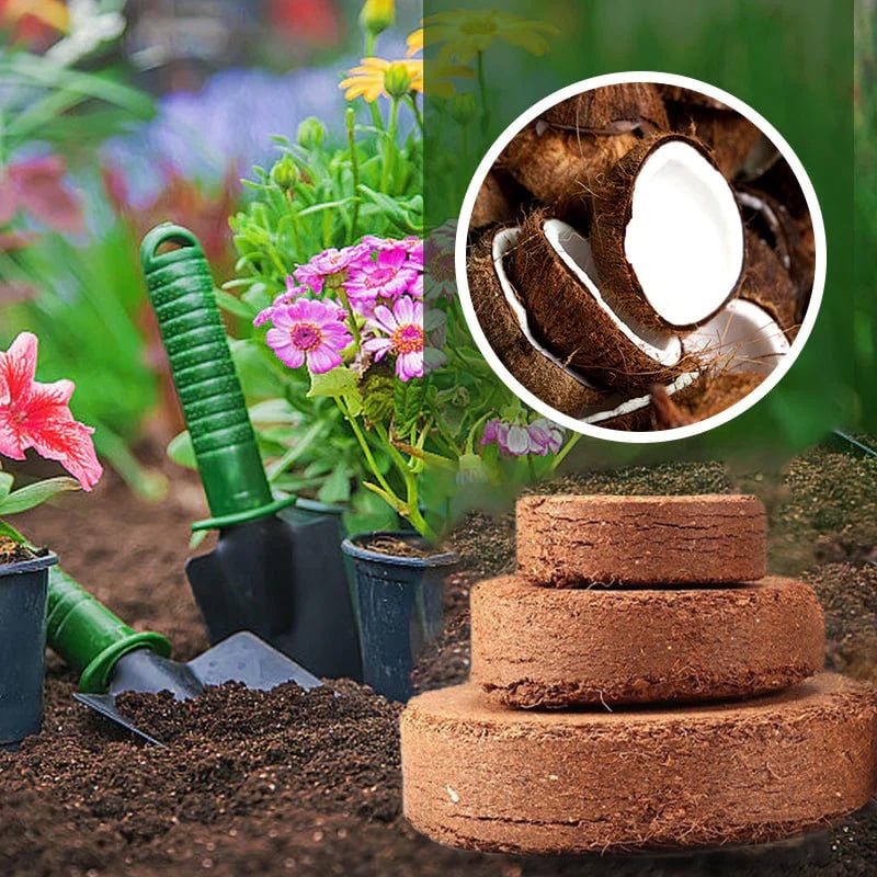 Spring Hot Sale 49% OFF✨ -  Premium Organic Coconut Coir Bricks for Plants-Plantjoyfarm-