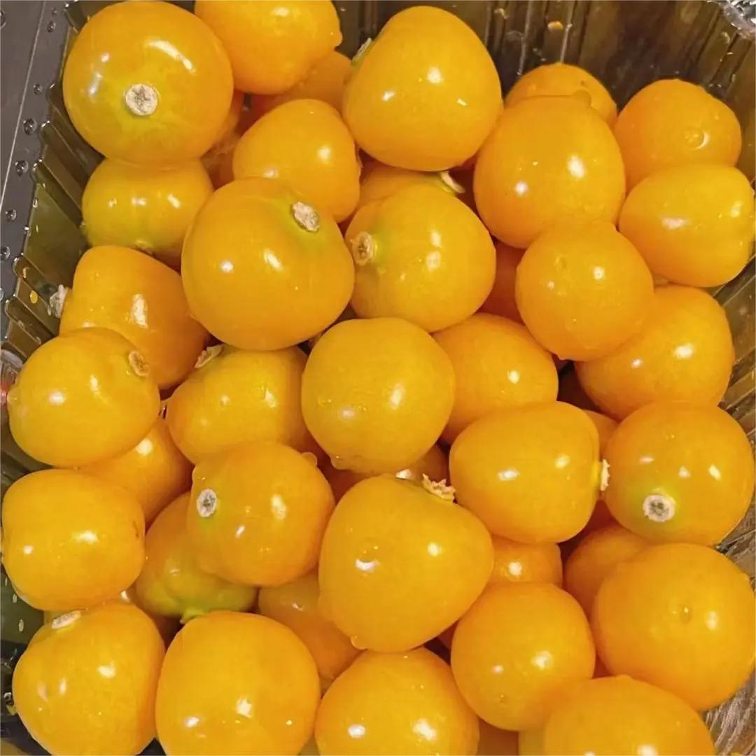 Creamy Maiden Fruit Seeds-Plantjoyfarm-