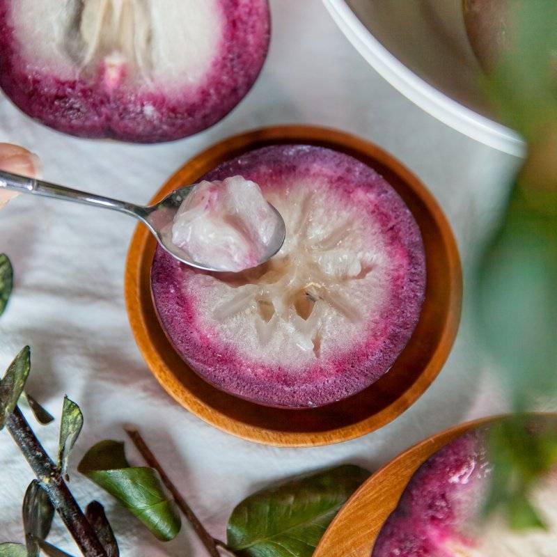 Milk Fruit Seeds - Star Apple✨Cold hardy varieties-Plantjoyfarm-