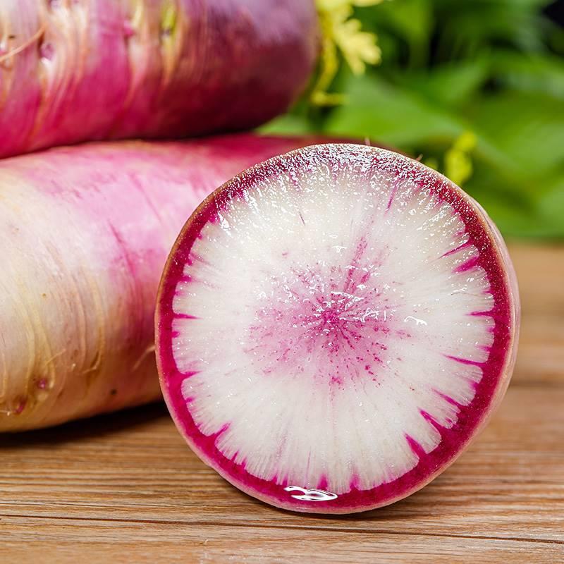 🍦Ice Cream Radish Seeds-Plantjoyfarm-Vegetable Seeds,best selling