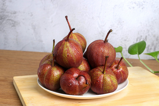 Pyrus pyrifolia 'Nijisseiki'🌈Rainbow Pear Seeds-Plantjoyfarm-