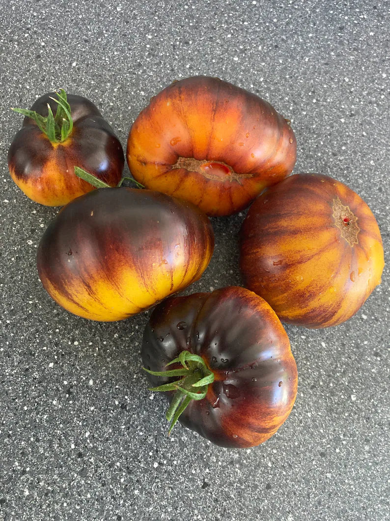 Lucid Gem Tomato Seeds Organic, Heirloom Tomatoes-Plantjoyfarm-new,vegetable