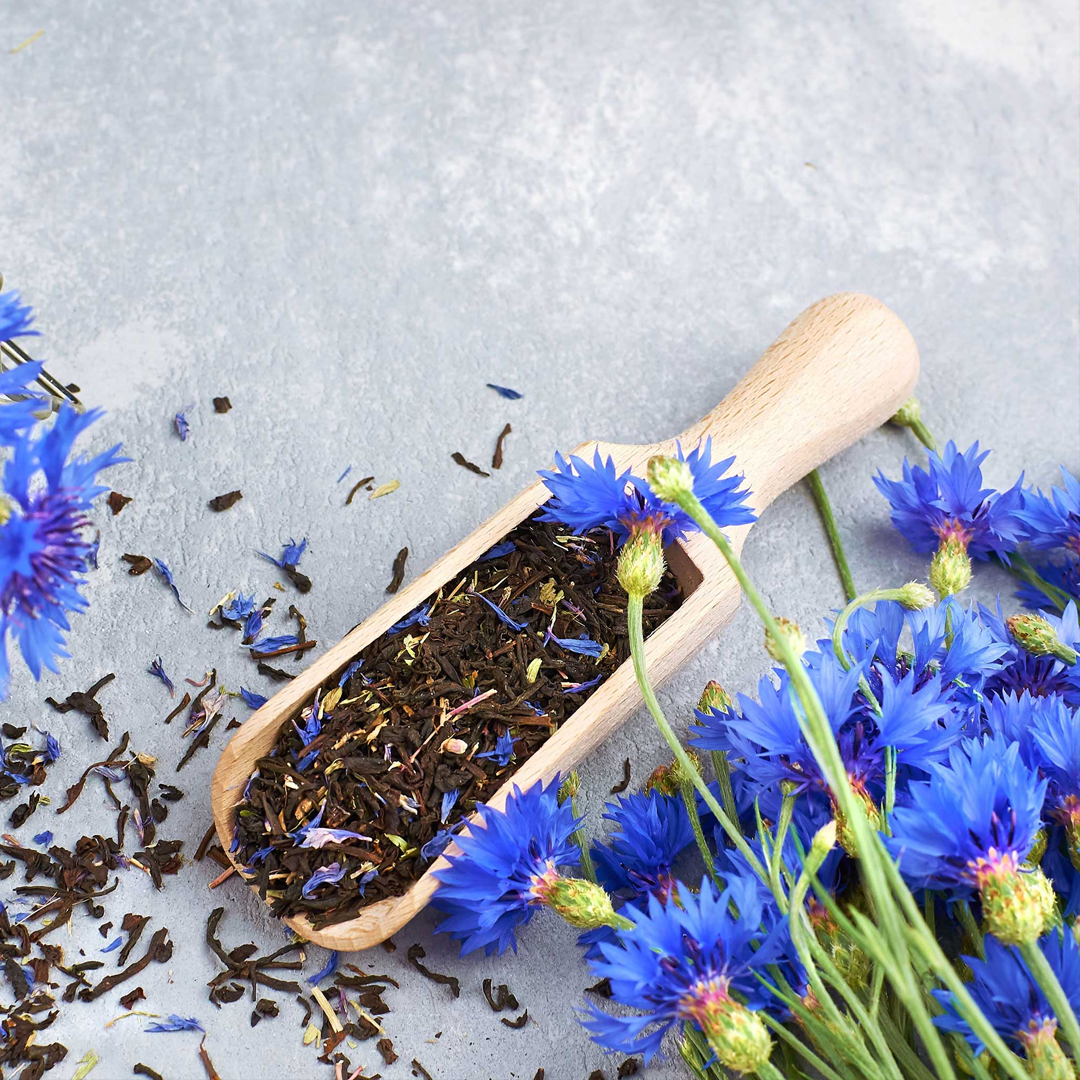 Mixed Cornflower / Bachelor Button Seeds-Plantjoyfarm-Flower Seeds