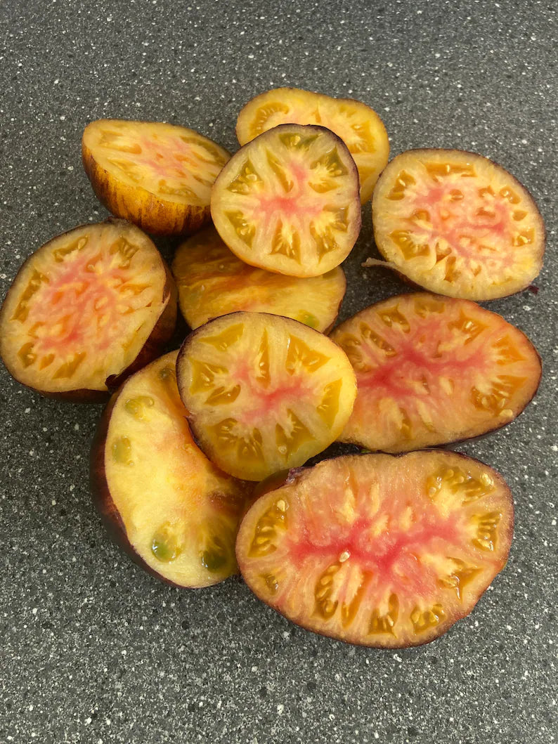 Lucid Gem Tomato Seeds Organic, Heirloom Tomatoes-Plantjoyfarm-new,vegetable