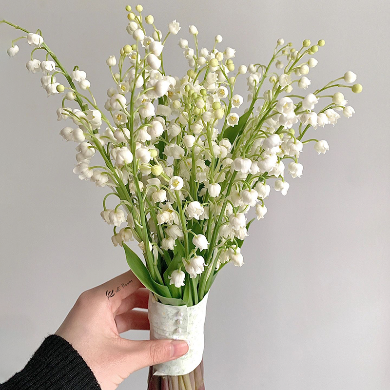 Lily of the Valley Roots-Plantjoyfarm-Flower Seeds