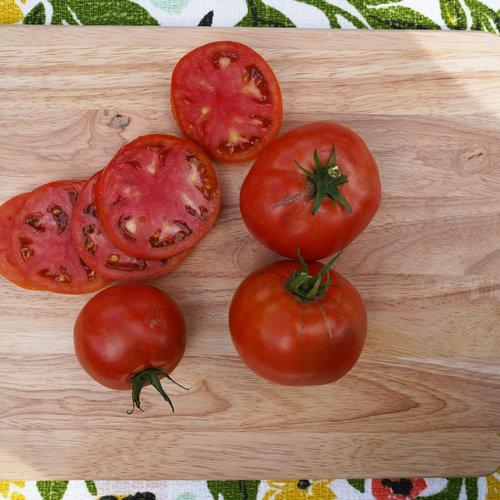 Garden Treasure Tomatoes-Plantjoyfarm-Fruit Seeds,best selling