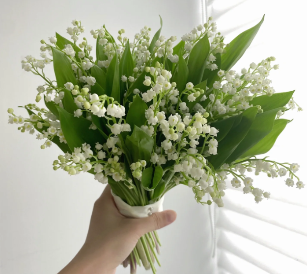 💐Lily of the Valley—Happiness Arrives-Plantjoyfarm-Garden Seeds,Flowers Seeds,best selling
