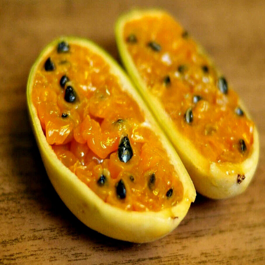 🔥HOT SALE🔥Rare Banana Passion Fruit Seeds-Plantjoyfarm-Fruit Seeds
