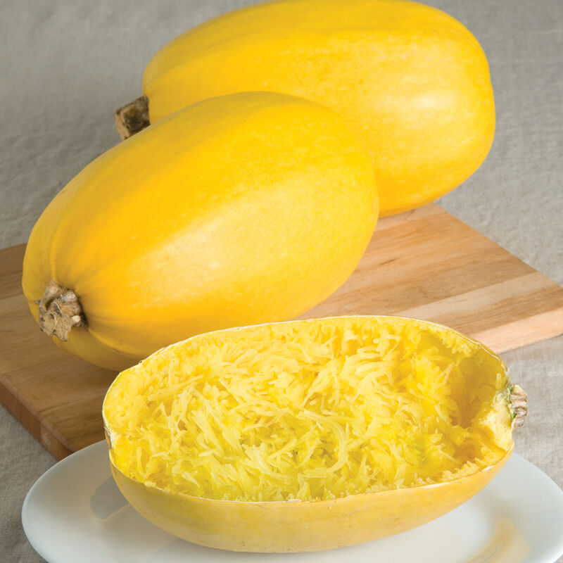 Vegetable Spaghetti, Squash Seeds-Plantjoyfarm-Vegetable Seeds,best selling