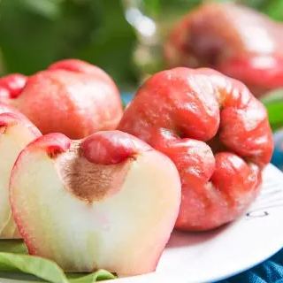 Wax-apple Fruit Seeds🍹100% Germination Rate-Plantjoyfarm-