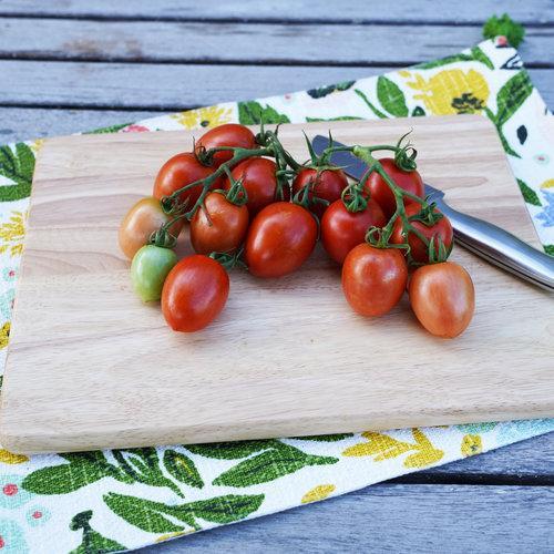 Garden Gem Tomatoes-Plantjoyfarm-Fruit Seeds