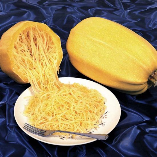 Vegetable Spaghetti, Squash Seeds-Plantjoyfarm-Vegetable Seeds,best selling
