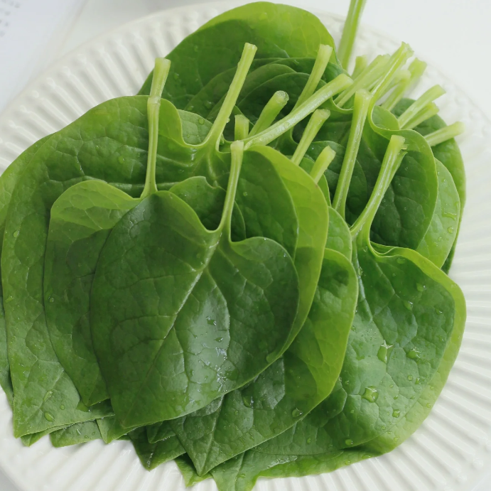 Basella Alba Seeds-Plantjoyfarm-Vegetable Seeds,best selling