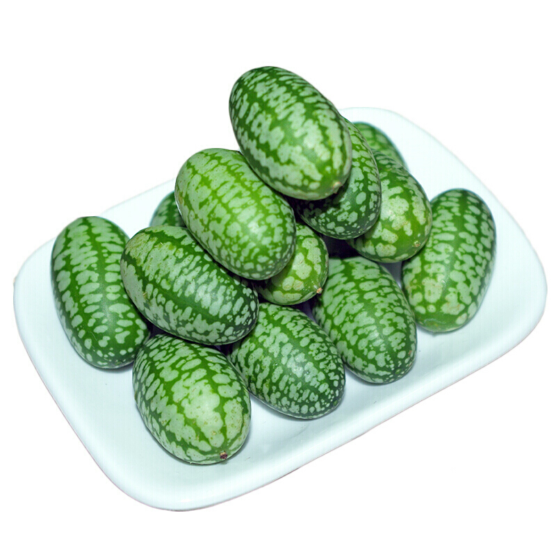 Thumb Watermelon Seeds 🍉-Plantjoyfarm-