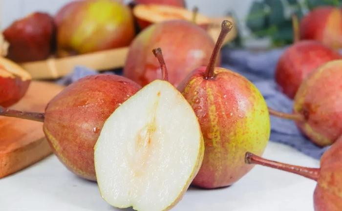 Pyrus pyrifolia 'Nijisseiki'🌈Rainbow Pear Seeds-Plantjoyfarm-