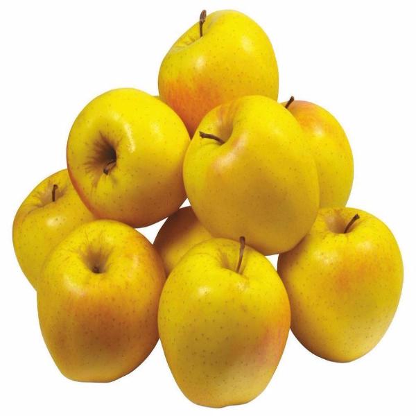 Yellow Apple Tree Organic Heirloom Seeds-Plantjoyfarm-Apple,Fruit Seeds,new