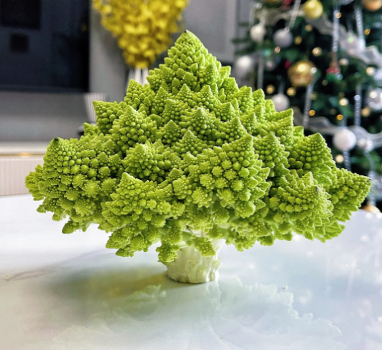 Roman Pagoda Cauliflower Seeds-Plantjoyfarm-Vegetable Seeds,best selling
