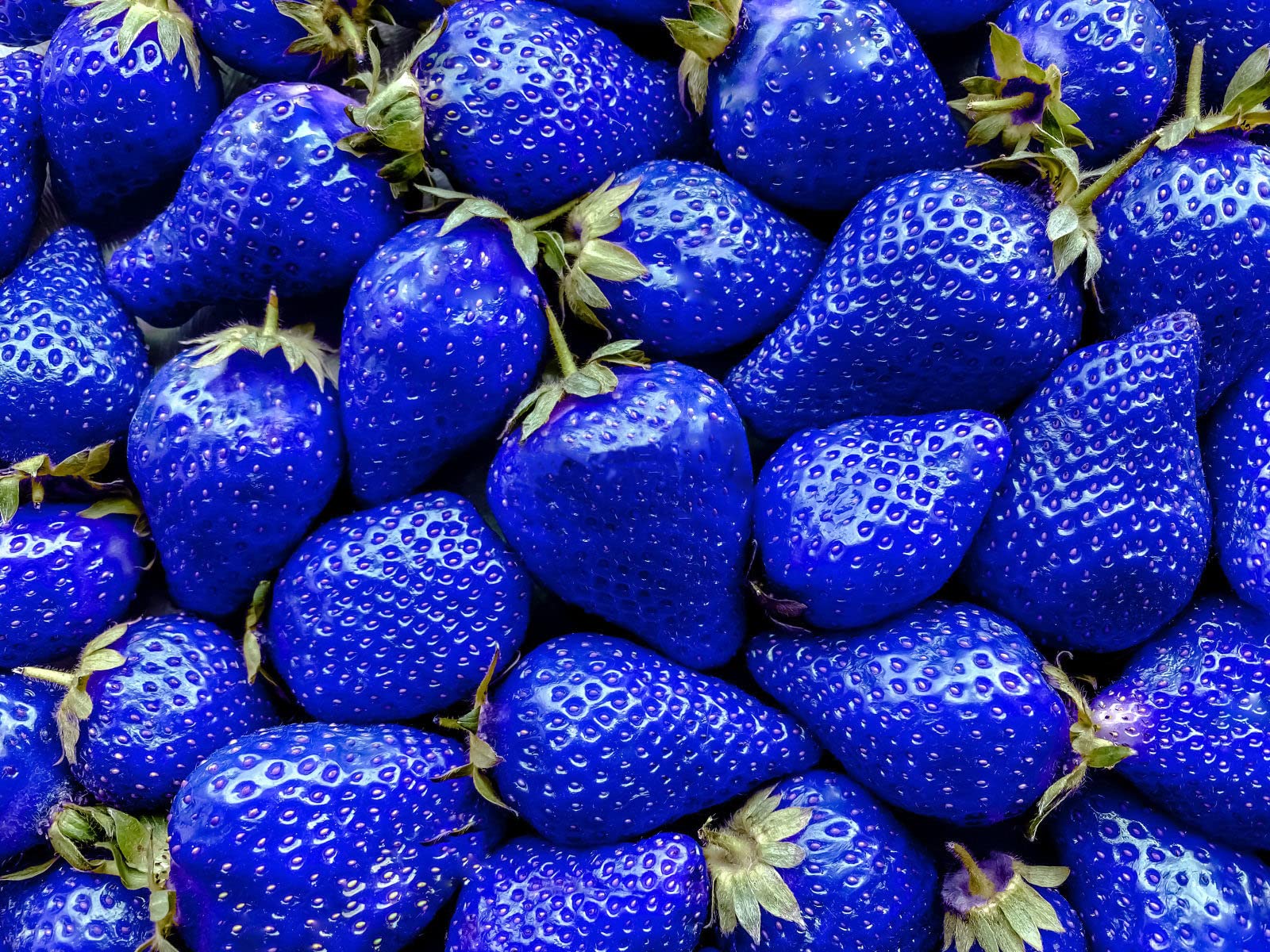 800+ Mix Strawberry Seeds for Planting - Heirloom Non-GMO Red Yellow Blue White Climbing Strawberry-Plantjoyfarm-fruit,Fruit Seeds,best selling