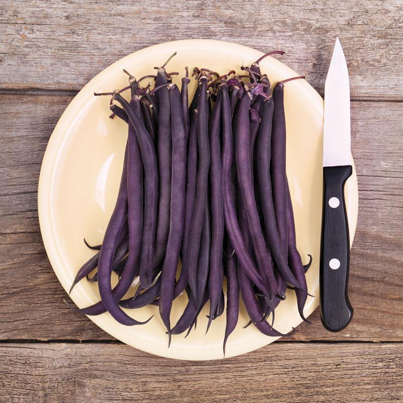 🫘Bean Amethyst-Plantjoyfarm-best selling,Vegetable Seeds