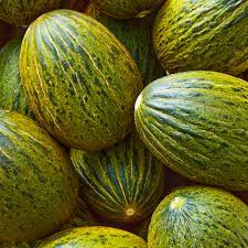 Piel De Sapo Melon-Plantjoyfarm-Fruit Seeds,best selling