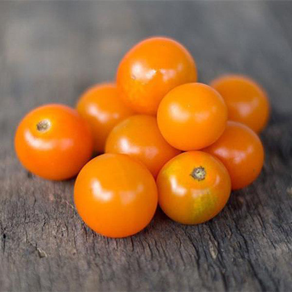 Sungold Tomato (F1 hybrid 60 days)-Plantjoyfarm-Fruit Seeds,new,vegetable