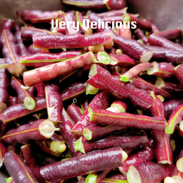 🫘Bean Amethyst-Plantjoyfarm-best selling,Vegetable Seeds