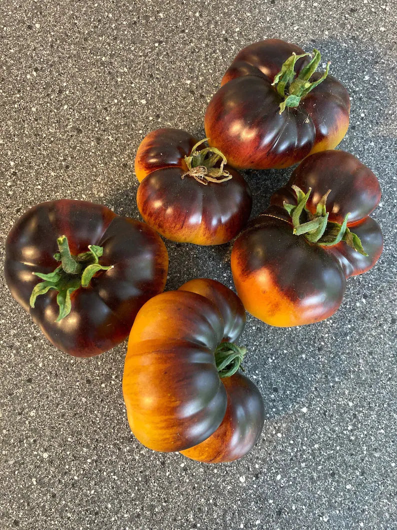 Lucid Gem Tomato Seeds Organic, Heirloom Tomatoes-Plantjoyfarm-new,vegetable