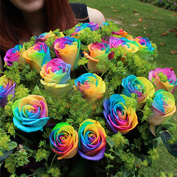 Rainbow Rose Seeds-Plantjoyfarm-Flowers Seeds,Garden Seeds,Rose seeds,best selling