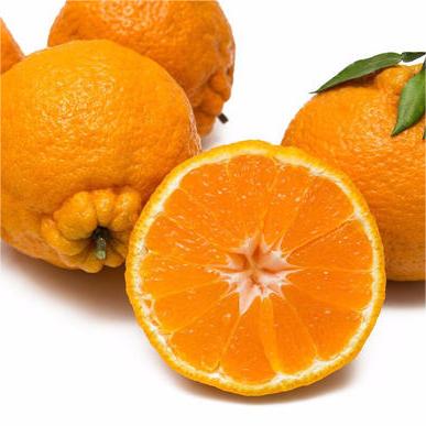 Rake Citrus Seeds (🪴Can be potted)-Plantjoyfarm-