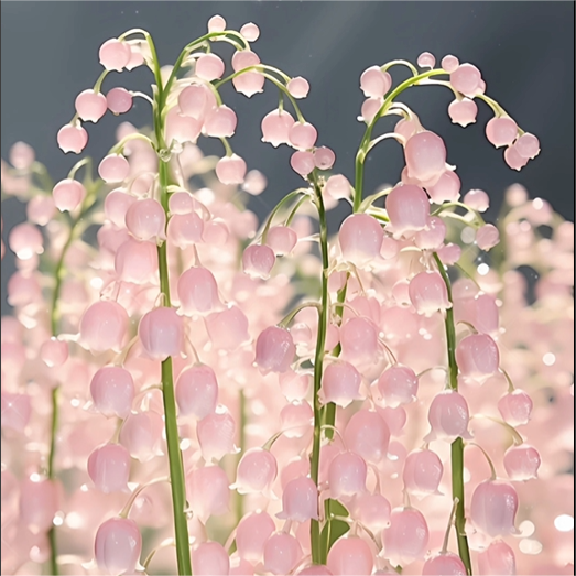 Pink Lily Of The Valley Seeds-Plantjoyfarm-Garden Seeds,Flowers Seeds,best selling