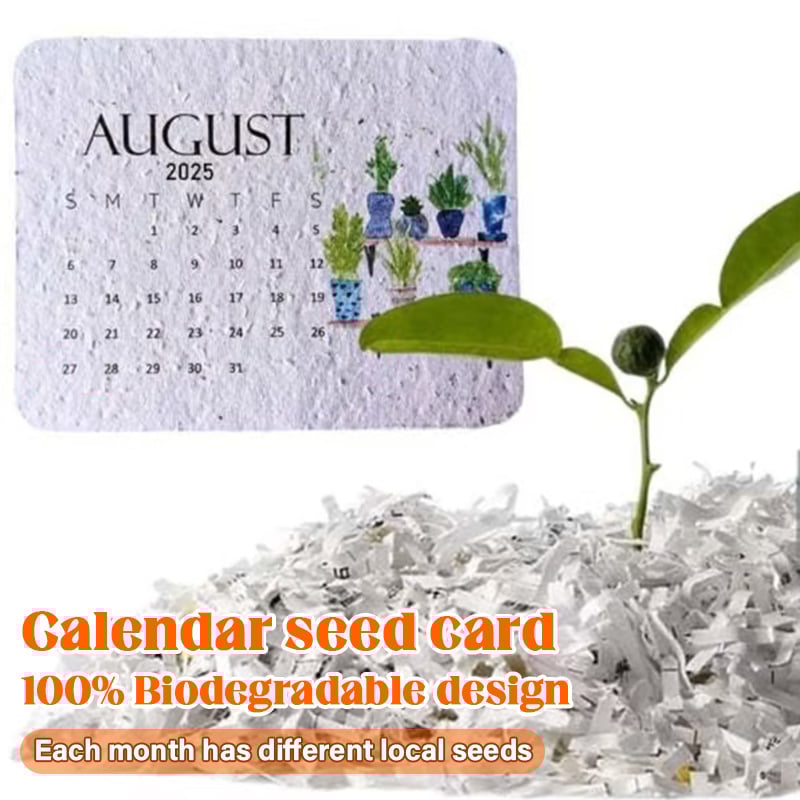 🌱2025 Eco-Friendly Plantable Seed Calendar