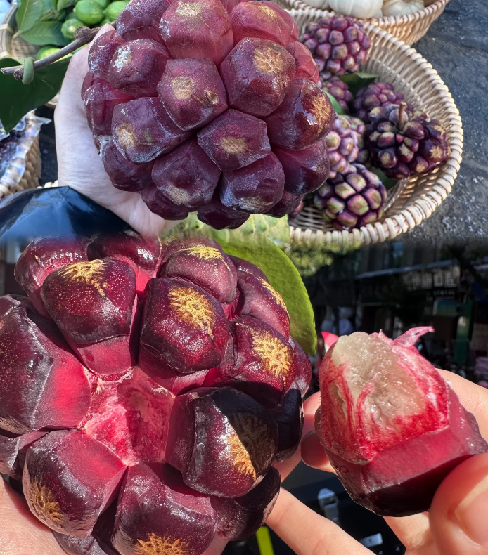 Black Tiger Seeds | Devil Fruit-Plantjoyfarm-Fruit Seeds,best selling