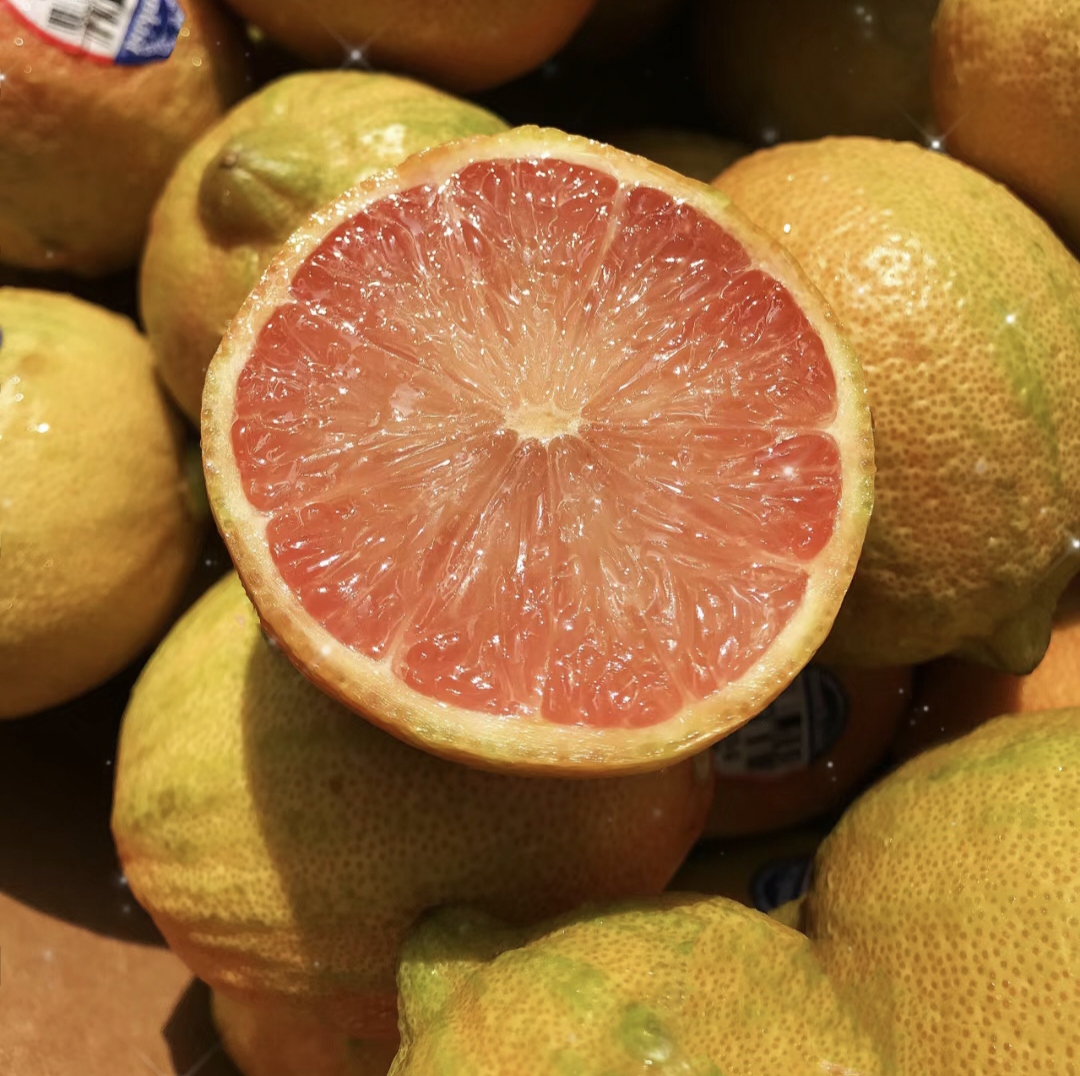 High Survival Rate Lemon Tree Seeds-Plantjoyfarm-Fruit Seeds,Lemon