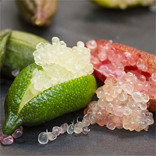 Finger Lime Seeds Lemon Caviar Seeds-Plantjoyfarm-Fruit Seeds