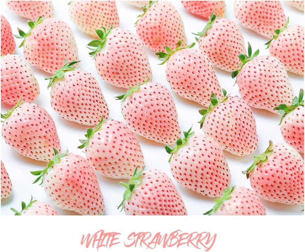 800+ Mix Strawberry Seeds for Planting - Heirloom Non-GMO Red Yellow Blue White Climbing Strawberry-Plantjoyfarm-fruit,Fruit Seeds,best selling