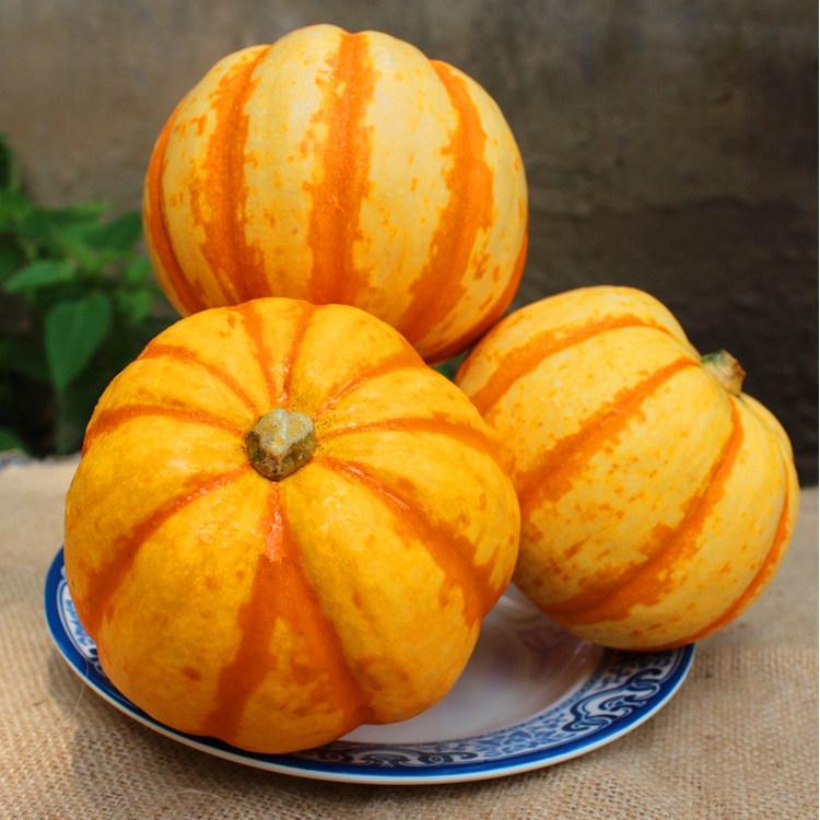 Yellow Beibei Pumpkin Sweet Glutinous BeiBei Mini Chestnut Pumpkin Seeds-Plantjoyfarm-Vegetable Seeds,best selling