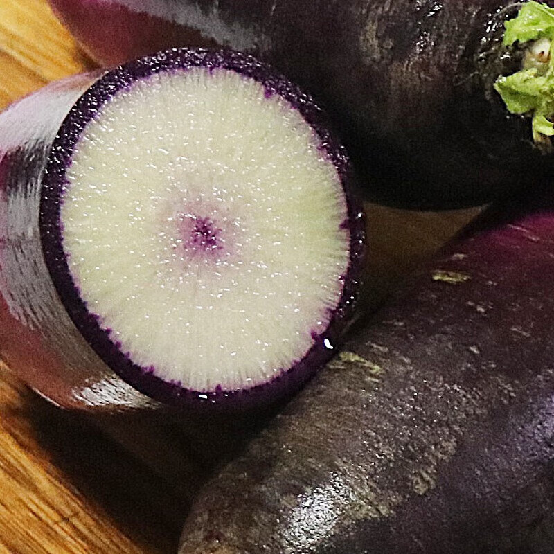 🍦Ice Cream Radish Seeds-Plantjoyfarm-Vegetable Seeds,best selling