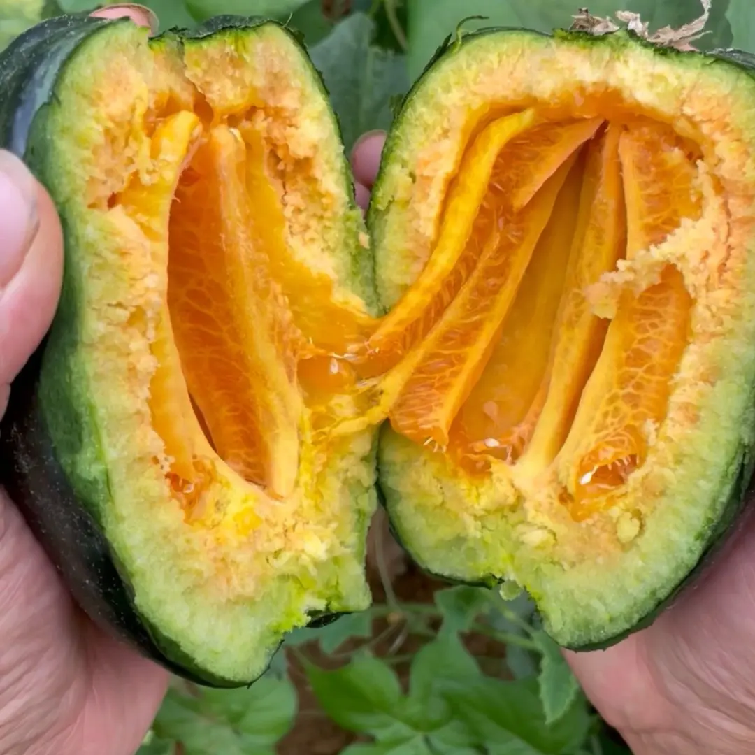 Melon Seeds The Most Suitable Melon for the Elderly and Children-Plantjoyfarm-Fruit Seeds,best selling
