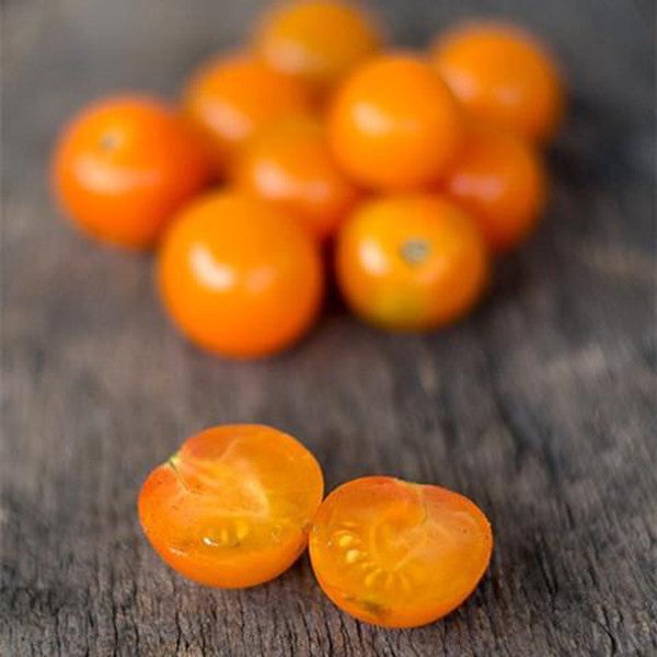 Sungold Tomato (F1 hybrid 60 days)-Plantjoyfarm-Fruit Seeds,new,vegetable