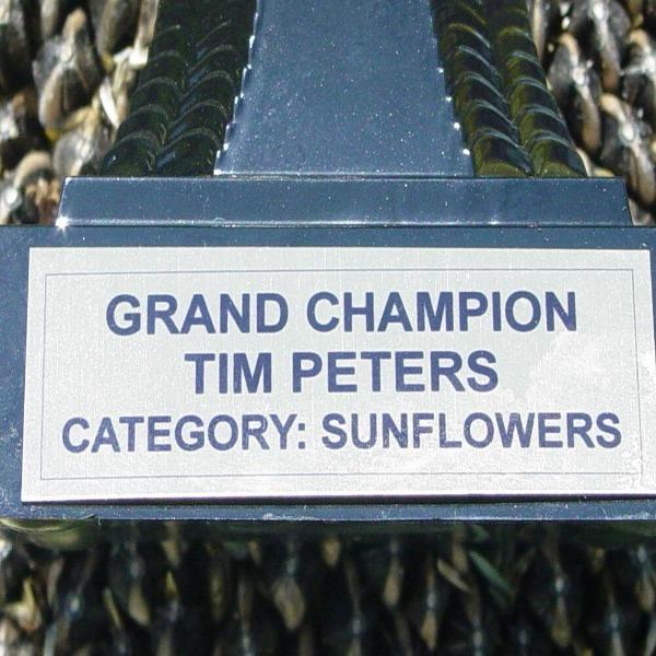 50 Pcs Mongolian Giant Sunflower Seeds-Plantjoyfarm-Sunflower Seeds,best selling