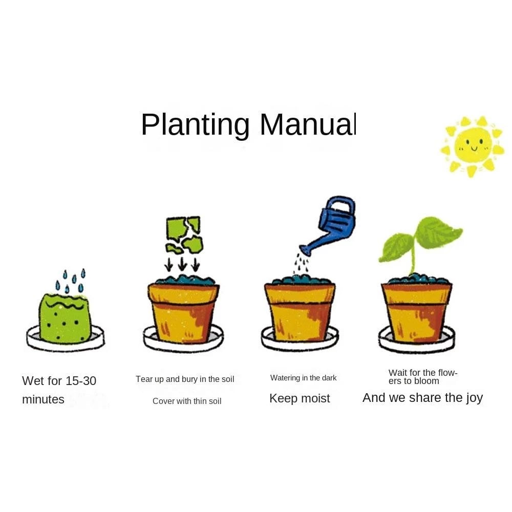 🌱2025 Eco-Friendly Plantable Seed Calendar