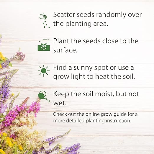 ✨Midwest Wildflower Seed Mix —— Low maintenance👨‍🌾-Plantjoyfarm-Flower Seeds,Garden Seeds,best selling